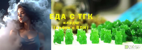 прущий лед Бородино