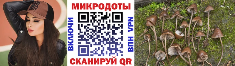 Псилоцибиновые грибы ЛСД  Купить  Волчанск 